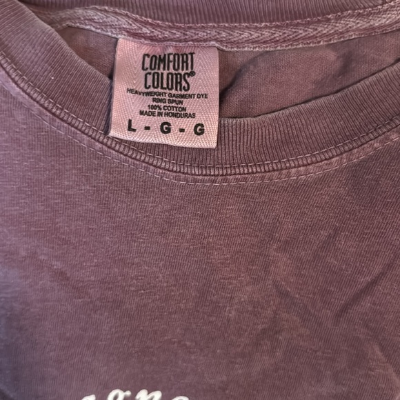 Comfort Colors | Taylor Swift | Champagne Problems Plum T-Shirt | Size Large - Picture 4 of 4